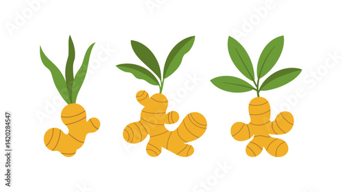 Ginger root illustration set: A stylized illustration of ginger root with fresh leaves in a vibrant, flat design, perfect for culinary, health, and wellness concepts. 