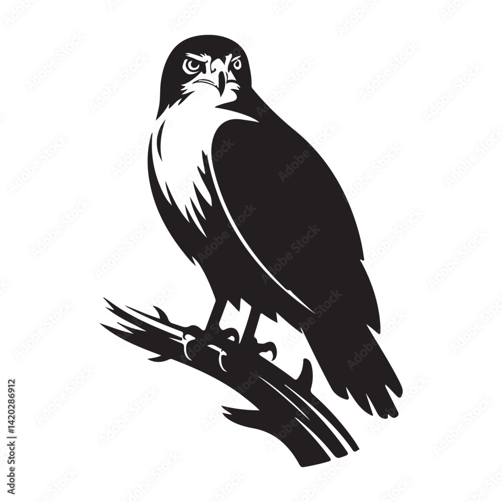 Obraz premium eagle vector on a white background 