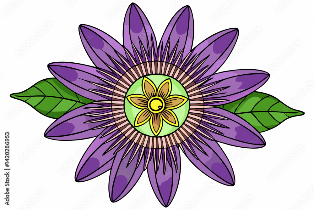 Fototapeta premium vector illustration of lotus flower