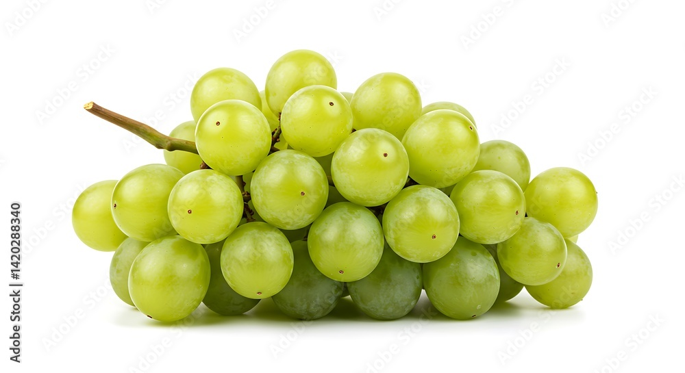 A single bunch of green grapes placed neatly on a white background, showcasing the fresh and clean texture A single bunch of green grapes placed neatly on a white background, showcasing the fresh and clean texture