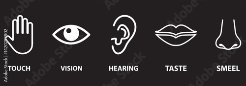 Five Senses line icons Five senses icon, representing the senses: eye (sight), nose (smell), ear (hearing), tongue (taste), and hand (touch) - ideal for web design education.