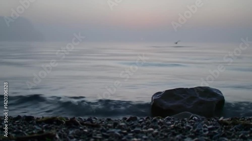 the stillness between tides and time