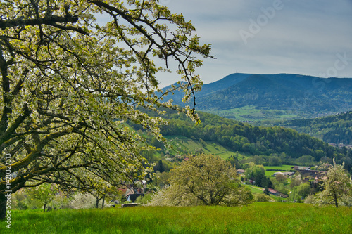 Photos Frühling in Breitenbach im Val de Villé im Elsass