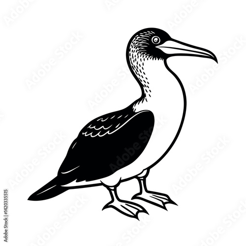 vector silhouette blue footed booby white background