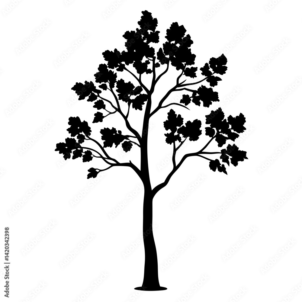 Obraz premium Monochrome Silhouette of Deciduous Tree with Dense Leaf Canopy on White Background