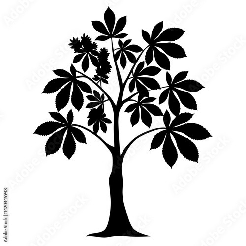 Silhouetted Horse Chestnut Tree with Flowers in Full Bloom on White