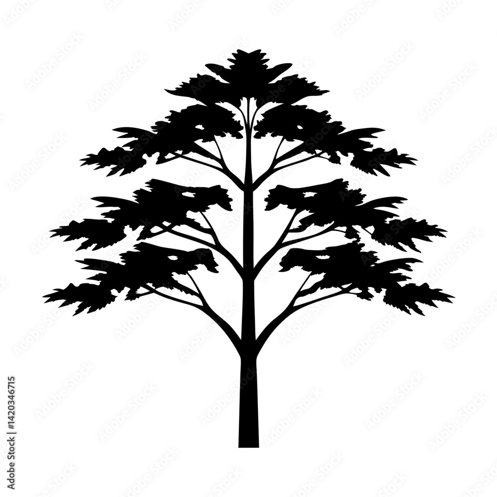 Obraz premium Solitary deciduous tree silhouette with intricate branches on white background illustration