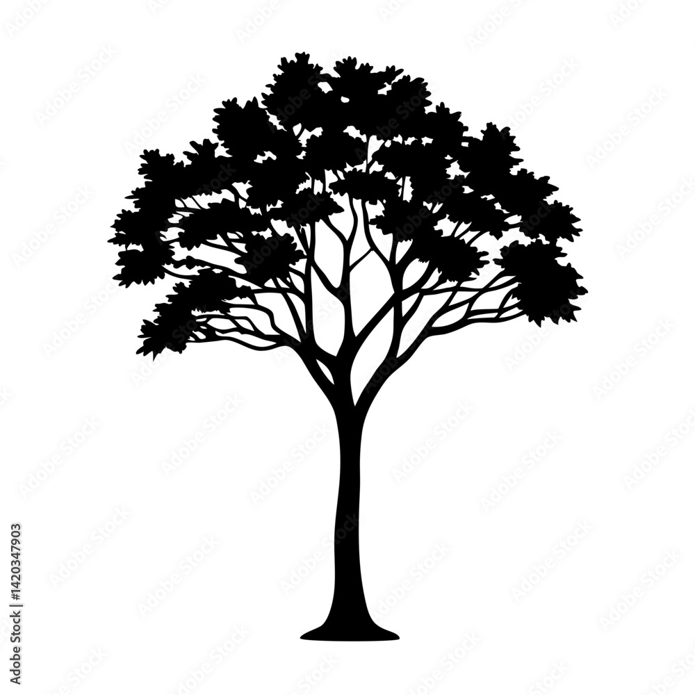 Obraz premium Black and White Tree Silhouette with Dense Canopy and Distinct Branches