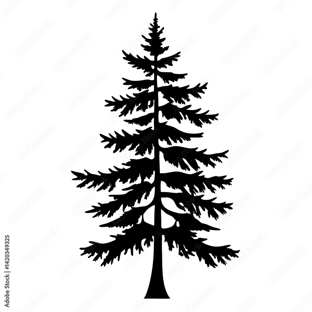 Black silhouette of a mature evergreen tree on a white background Black silhouette of a mature evergreen tree on a white background