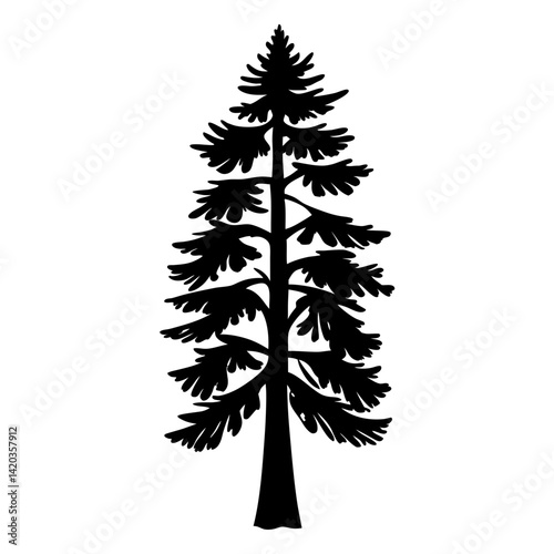 Silhouette of a tall evergreen tree with branches, leaves, and trunk