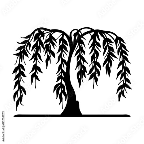 Monochrome Silhouette of a Weeping Willow Tree with Graceful Hanging Foliage