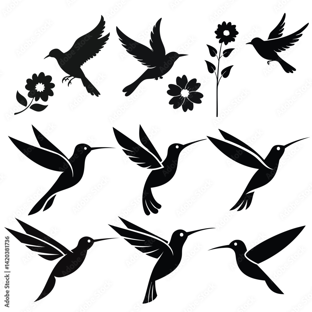 Obraz premium set of vector birds