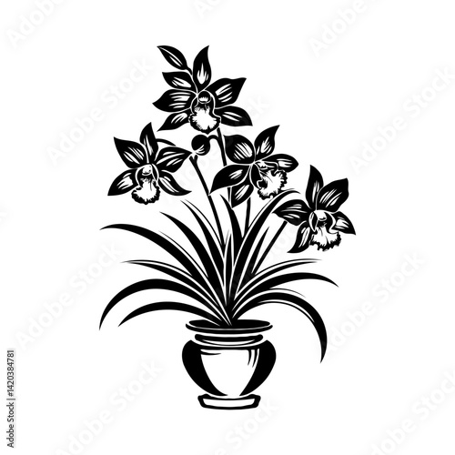 Black Cymbidium orchid flowers in a pot, silhouette style, white background. Concept of elegance and simplicity