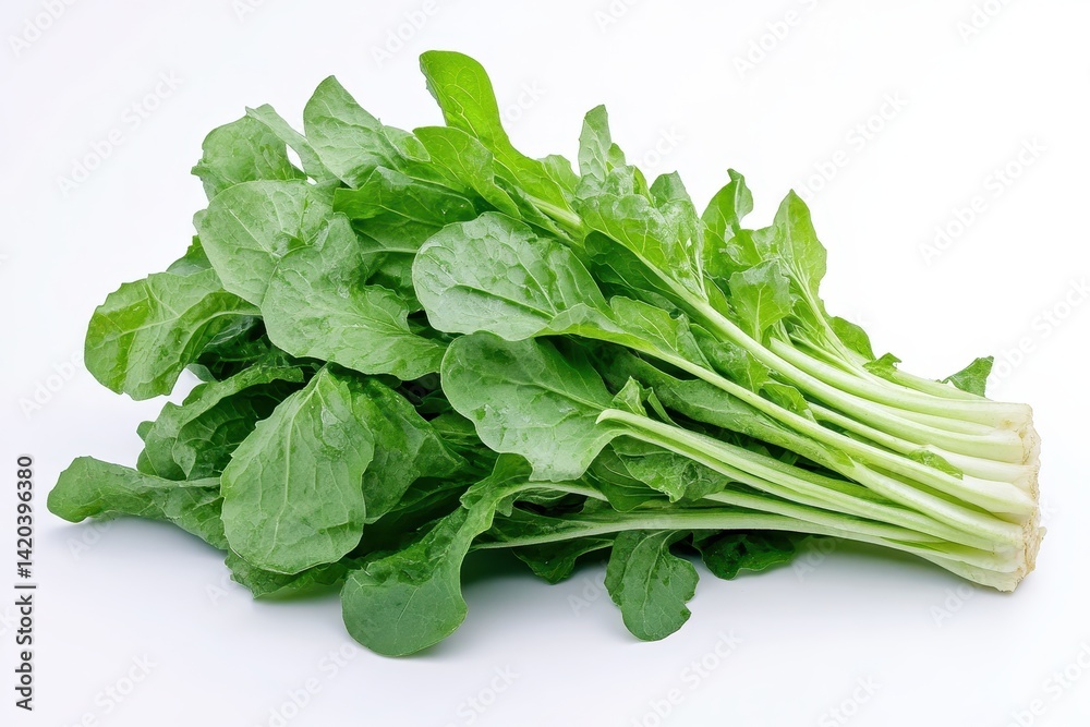 Fresh Mizuna Lettuce: Organic Japanese Mustard Greens for Healthy Salads on White Background Fresh Mizuna Lettuce: Organic Japanese Mustard Greens for Healthy Salads on White Background