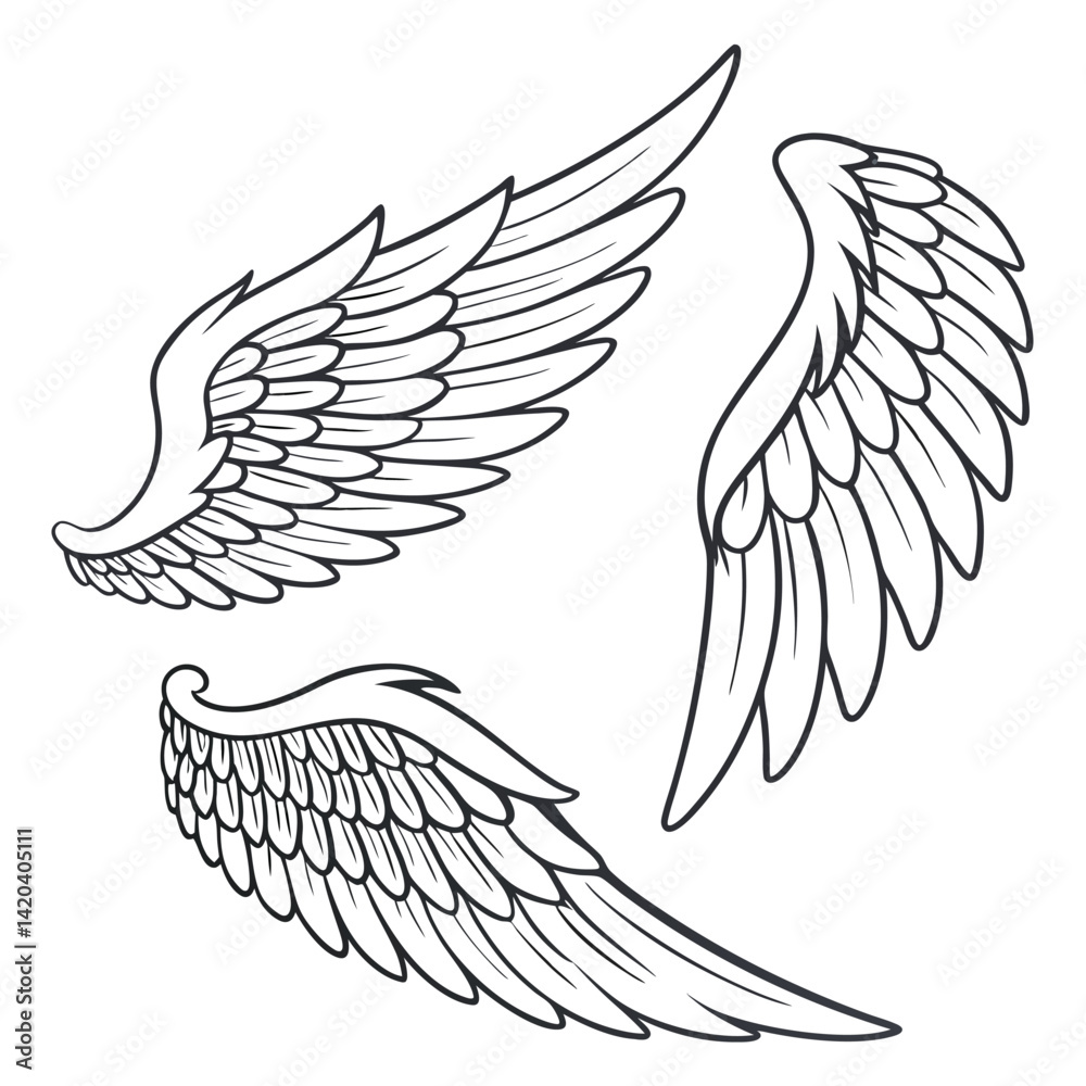 Obraz premium Three Detailed Line Art Drawings of Bird Wings