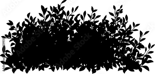 Silhouette of Dense Bush with Leaves