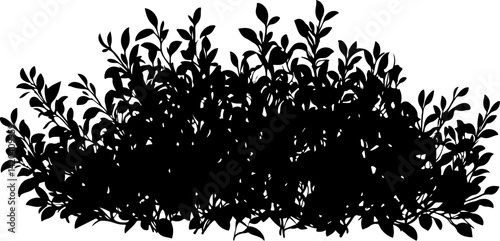 Silhouette of Dense Bush with Leaves