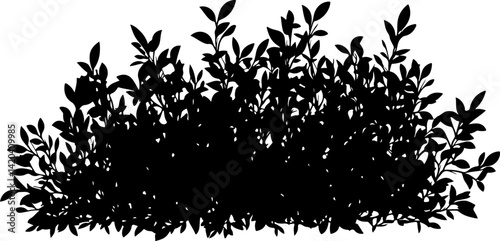 Silhouette of Dense Bush with Leaves