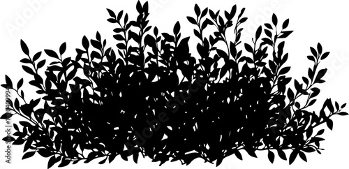 Silhouette of Dense Bush with Leaves