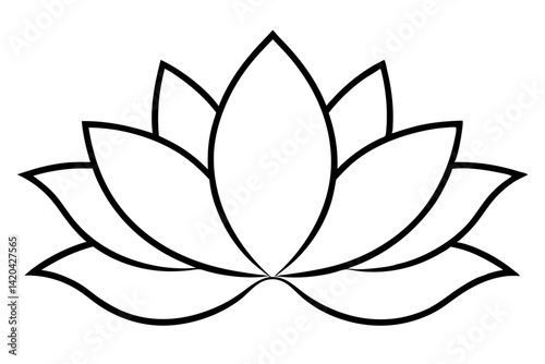 lotus flower on white background