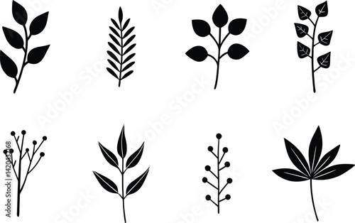 Hand-drawn leaves botanical floral vector element set part 3 illustrations on transparent background