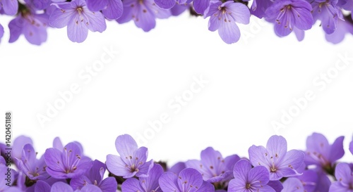 Floral frame with delicate purple flowers on a clean white background