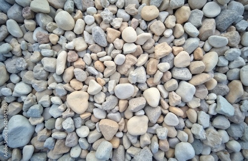 Obraz na płótnie Close-up stone floor texture. Smooth pebbles in various sizes and colors. White, grey, beige and brown stone rock background. Surface texture. Ideal background material for design. w salonie