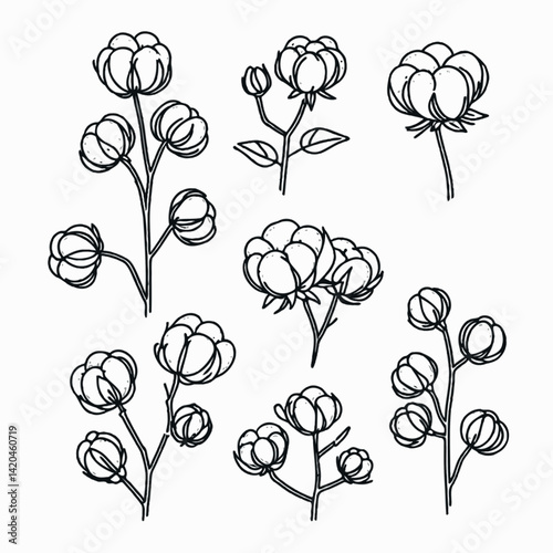 line art cloud-like softness illustration. Set outline fluffy cotton bolls sketch, doodle floral stems. Hand drawn Botanical drawing. Simple Stylized flowers. Black and White blooming