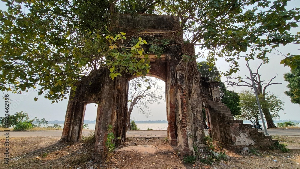Naklejka premium old bridge in the forest