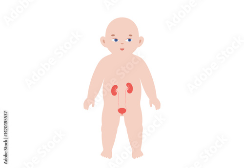 Kidney diseases in a child