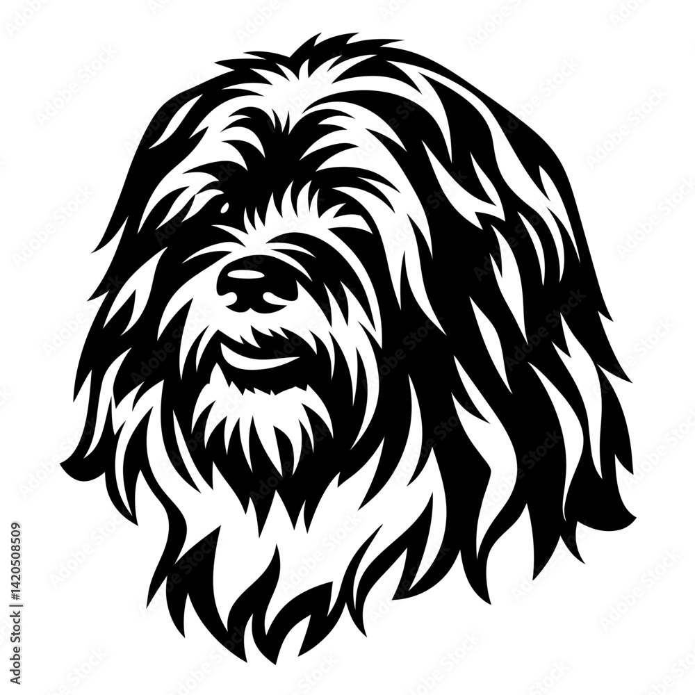 Fototapeta premium A stylized black and white portrait of a Komondor dog breed