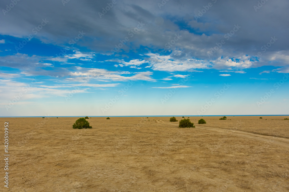 Moody landscape of the dry desert of the ex Aral Sea, Uzbekistan