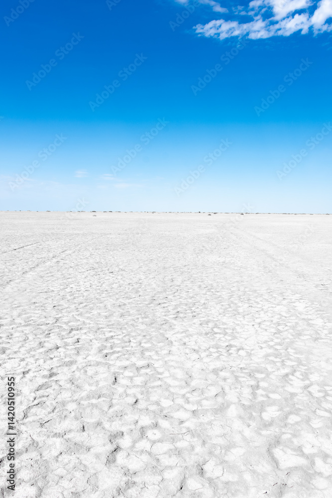 White salt marsh in the Aral Sea desert, Kazakhstan