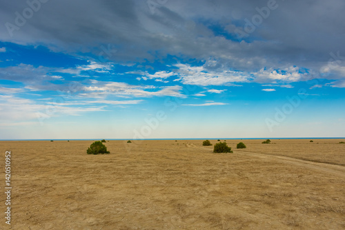 Obraz na płótnie Moody landscape of the dry desert of the ex Aral Sea, Uzbekistan w salonie