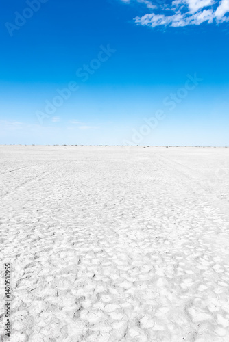 Obraz na płótnie White salt marsh in the Aral Sea desert, Kazakhstan w salonie