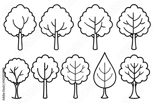 Beech Leaves Nature Graphics