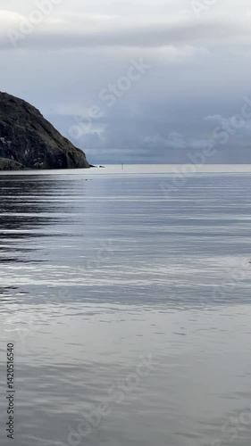 A Serene Coastal Landscape Showcasing Beautiful Reflections and Diverse Wildlife