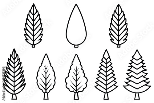Cedar Design Elements