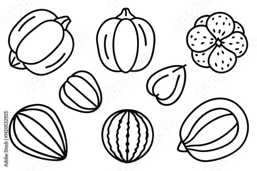 Chestnut Different Types Set
