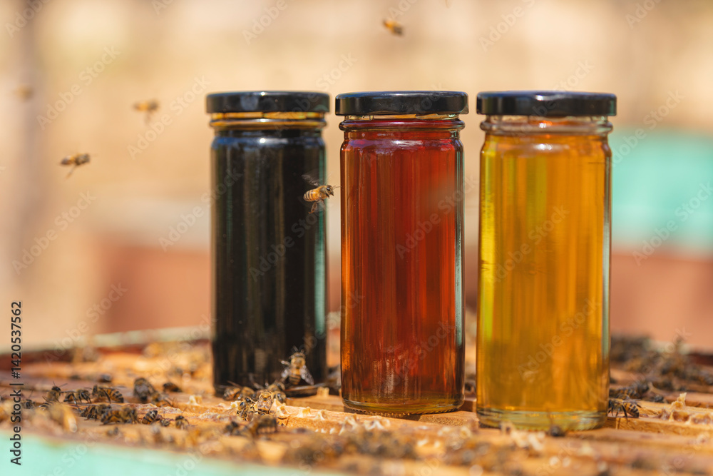 Three jars of honey in different colors with bees on beehive Three jars of honey in different colors with bees on beehive