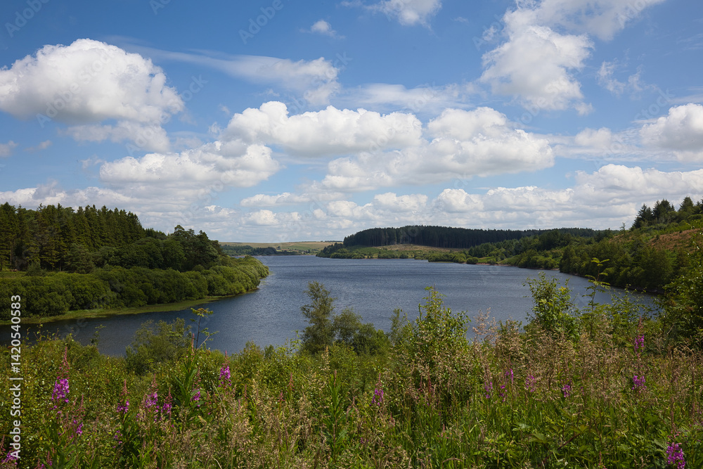 Fototapeta premium View of the Usk Reservoir in Wales from a hill.