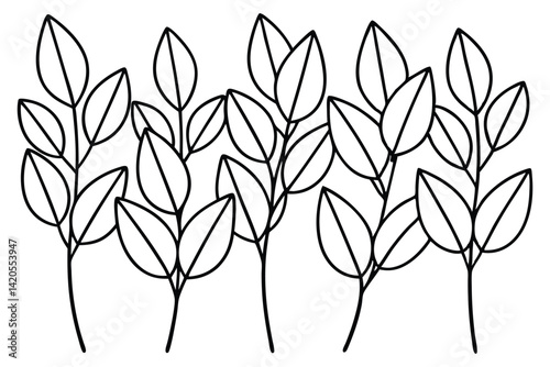 Eucalyptus Plant Hand Drawn Bundle