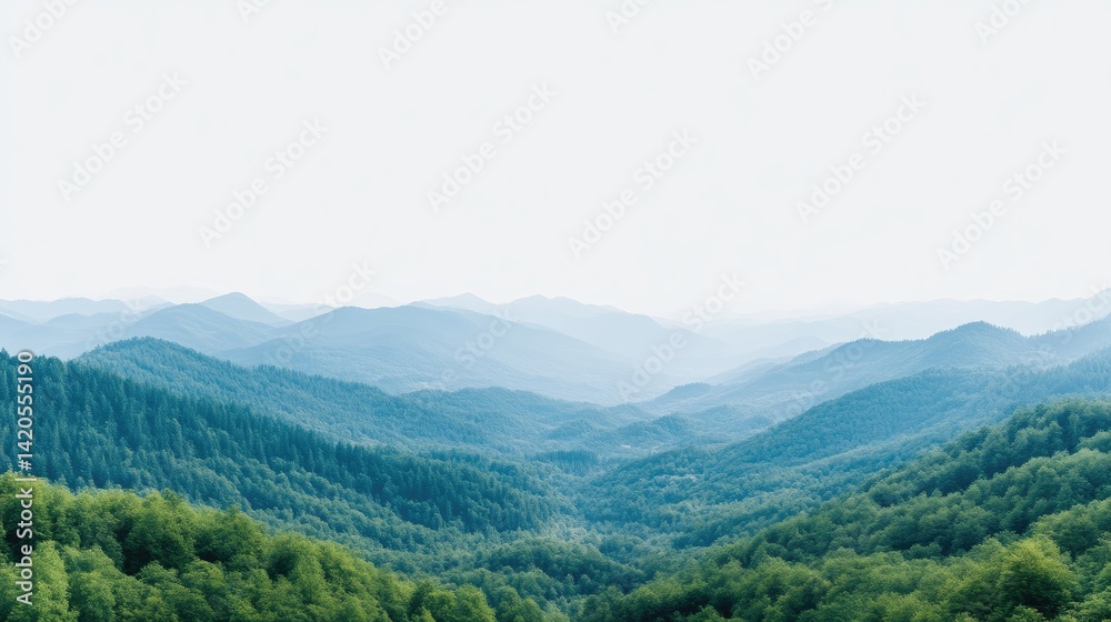 Fototapeta premium Misty mountain range, blurred view. Lush green forest valleys