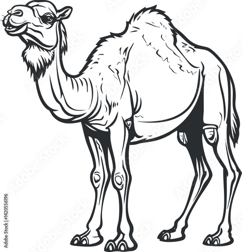 A detailed illustration of a camel standing gracefully in a desert landscape.