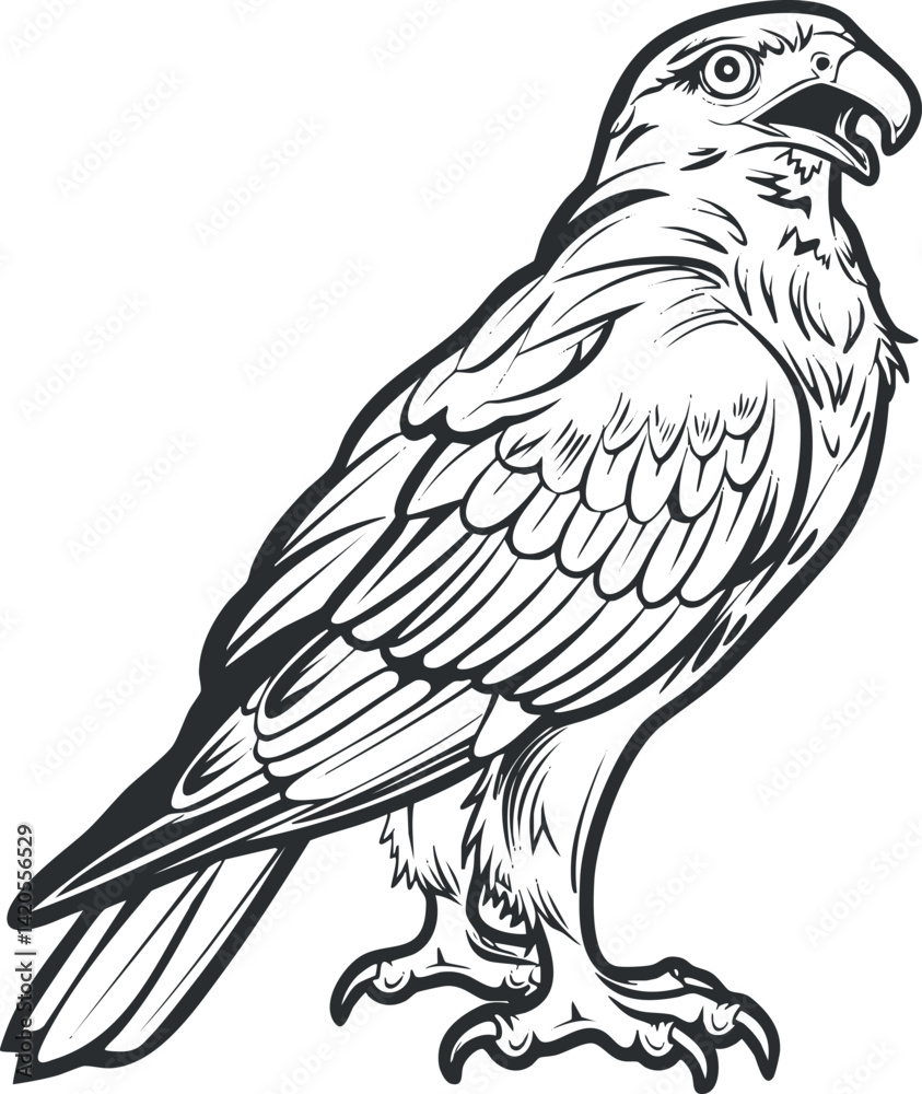 Obraz premium Stylized illustration of a hawk showcasing detailed feathers and strong features.