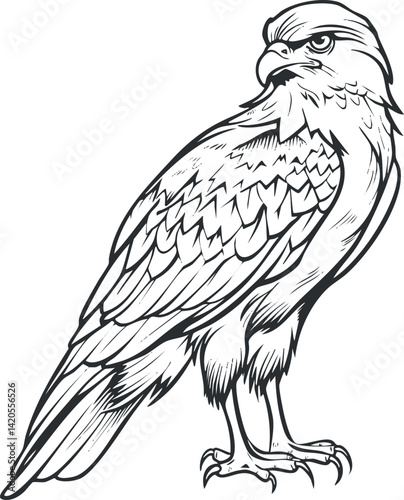 A detailed black and white illustration of a hawk perched elegantly, showcasing its features.