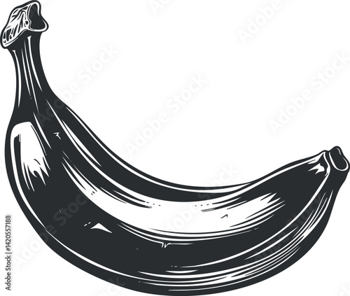 Illustration of a ripe banana showcasing its natural curves and texture ideal for food-related projects.