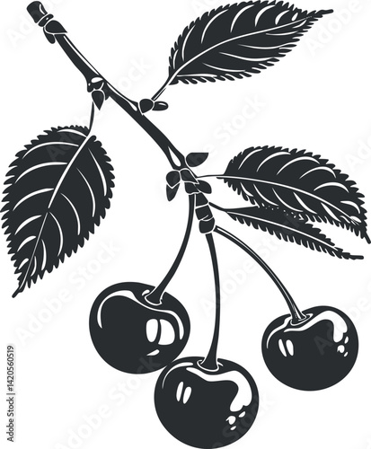 A detailed illustration of a cherry branch with ripe cherries and green leaves.
