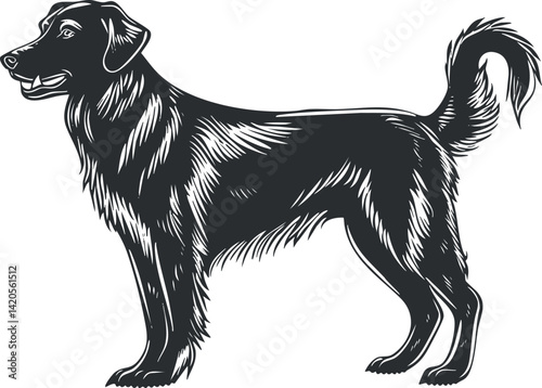 A detailed sketch of a standing dog showcasing its furry coat and playful demeanor.