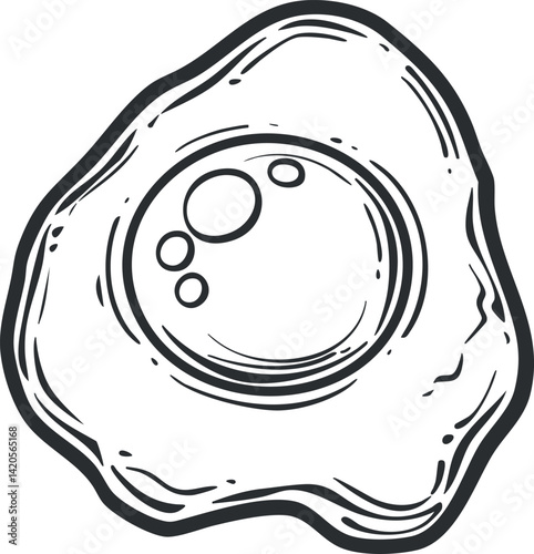 A simple illustration of a fried egg with a focus on its shape and details.